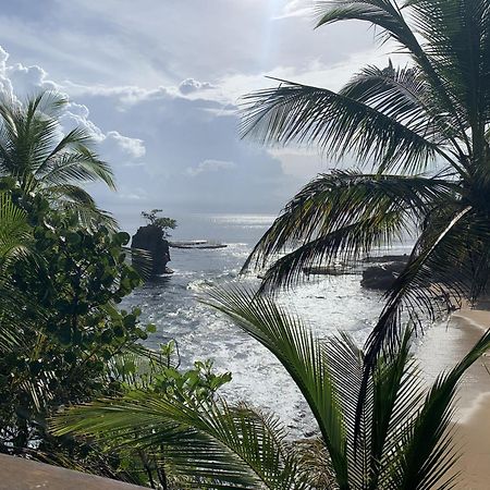 Pangea Lodge Tropical Vibe Home With Shared Pool Manzanillo  Exterior foto