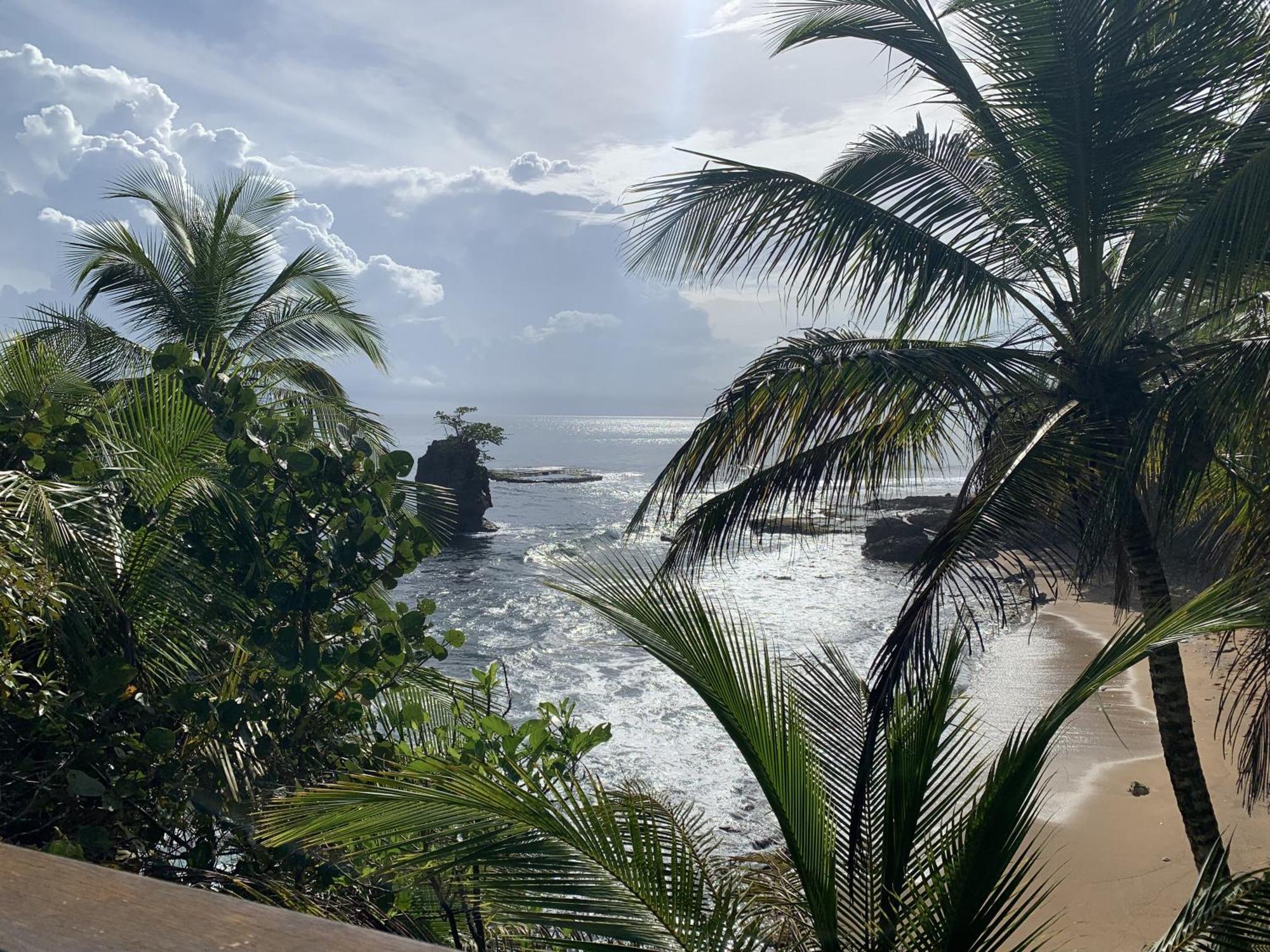 Pangea Lodge Tropical Vibe Home With Shared Pool Manzanillo  Exterior foto