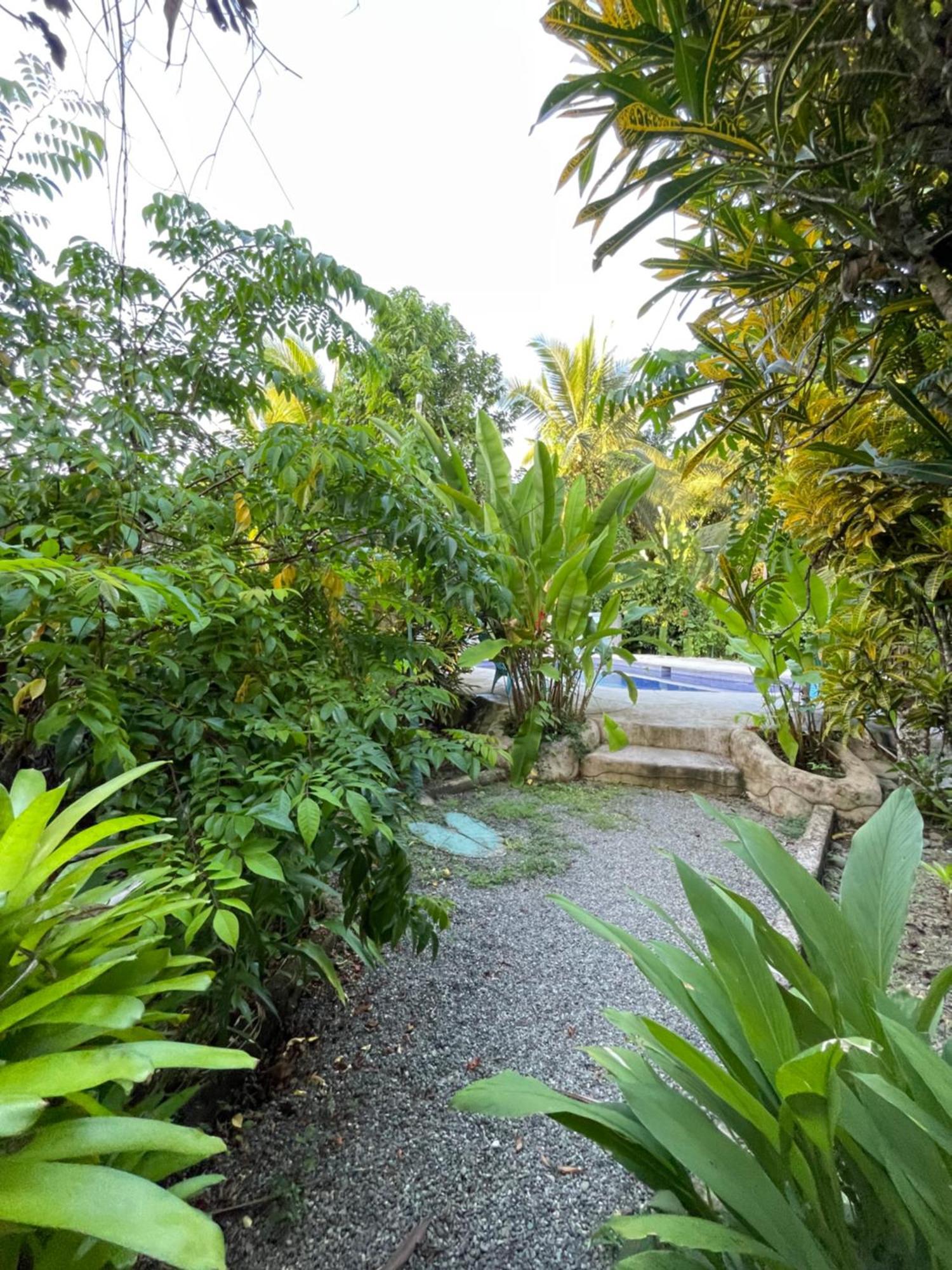 Pangea Lodge Tropical Vibe Home With Shared Pool Manzanillo  Exterior foto